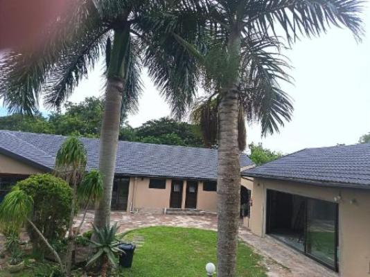 12 Dolfyn Nqabanqaba - Patio