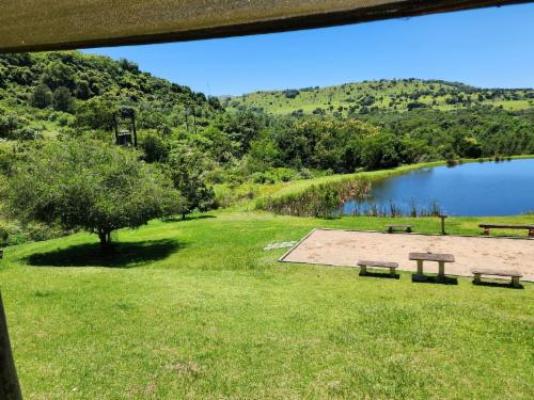 Mount Sinai Resort - Natural landscape
