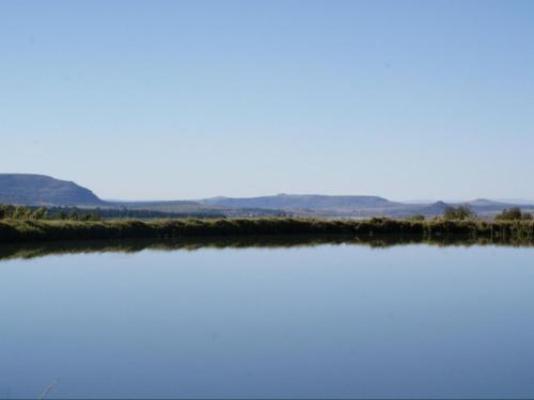 Mount Sinai Resort - Natural landscape