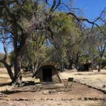 Mopani Elephant Camp - Property / Building