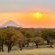 Mopani Elephant Camp - Neighbourhood