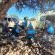 Mopani Elephant Camp - Braai/BBQ facilities