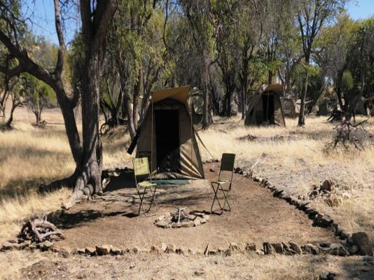 Mopani Elephant Camp - 286343