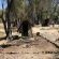 Mopani Elephant Camp - 286343