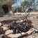 Mopani Elephant Camp - 286344