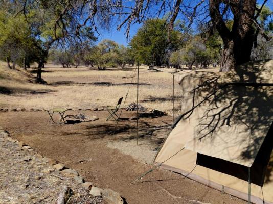 Mopani Elephant Camp - 286345