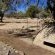 Mopani Elephant Camp - 286345