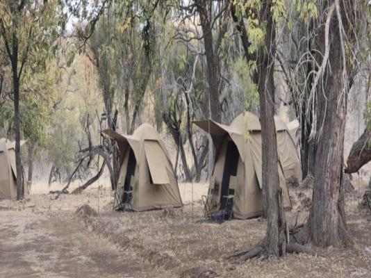 Mopani Elephant Camp - 286346