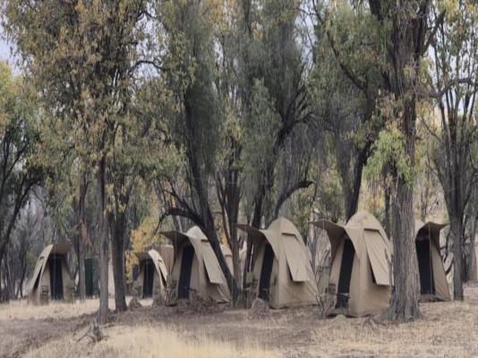 Mopani Elephant Camp - 286347