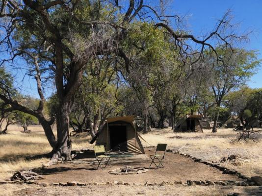 Mopani Elephant Camp - 286349