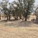 Mopani Elephant Camp - 286355