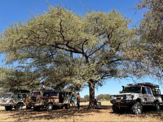 Mopani Elephant Camp - 286357