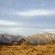 Smitten Guest Cottages - 286388
