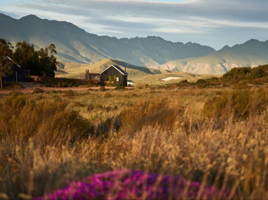 Smitten Guest Cottages - 286389