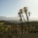 Smitten Guest Cottages - 286411