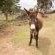Bonfrutti Guest Farm - Natural landscape
