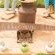 Bonfrutti Guest Farm - Property / Building