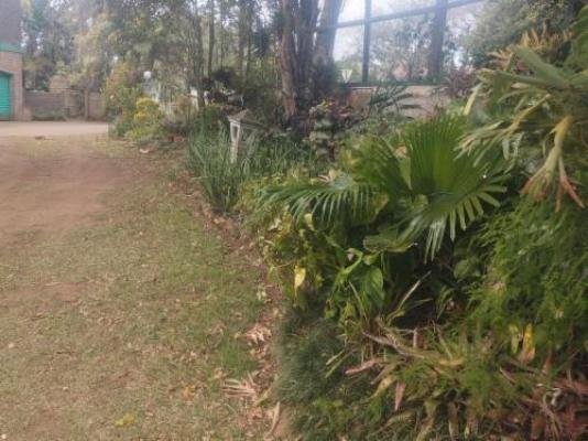 Eshowe Garden Lodge - Garden