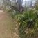 Eshowe Garden Lodge - Garden