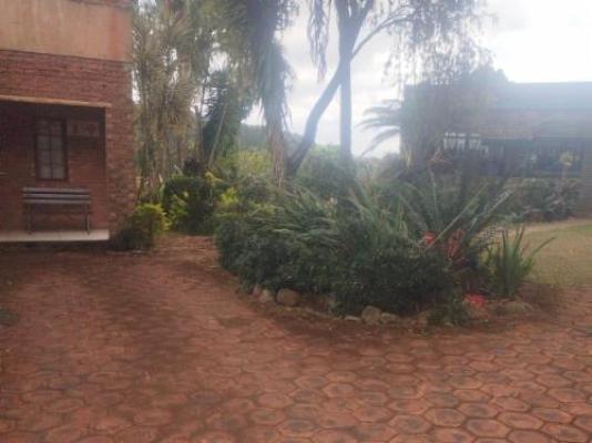 Eshowe Garden Lodge - Garden
