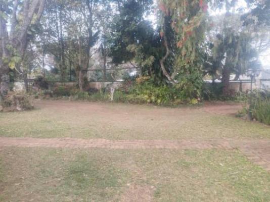 Eshowe Garden Lodge - Garden