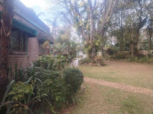 Eshowe Garden Lodge - Garden