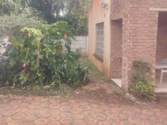 Eshowe Garden Lodge - Garden