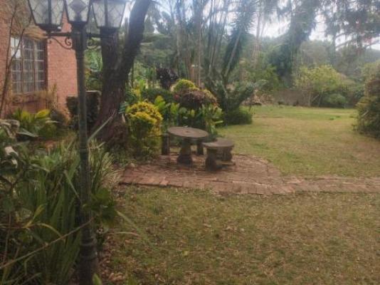 Eshowe Garden Lodge - Garden