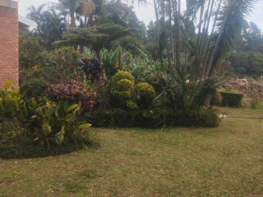 Eshowe Garden Lodge - Garden