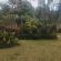 Eshowe Garden Lodge - Garden