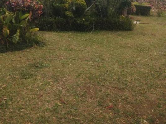 Eshowe Garden Lodge - Garden