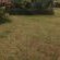 Eshowe Garden Lodge - Garden