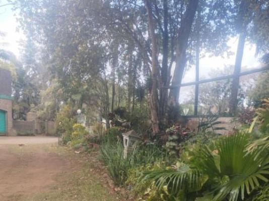 Eshowe Garden Lodge - Garden