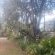 Eshowe Garden Lodge - Garden