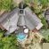 Fevertree Lodge - Bird's eye view