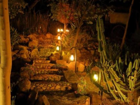 Fevertree Lodge - Garden