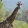 Fevertree Lodge - Natural landscape