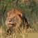 Fevertree Lodge - Natural landscape