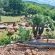 Fevertree Lodge - Garden