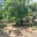 Mima Guesthouse - Garden