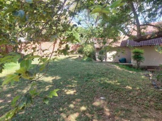 Mima Guesthouse - Garden