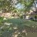 Mima Guesthouse - Garden