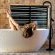 Melozhori Private Game Reserve - 286778