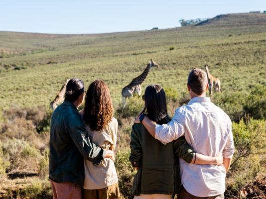 Melozhori Private Game Reserve - 286779