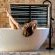 Melozhori Private Game Reserve - 286812
