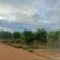 Merwenstein Guest Farm - Natural landscape
