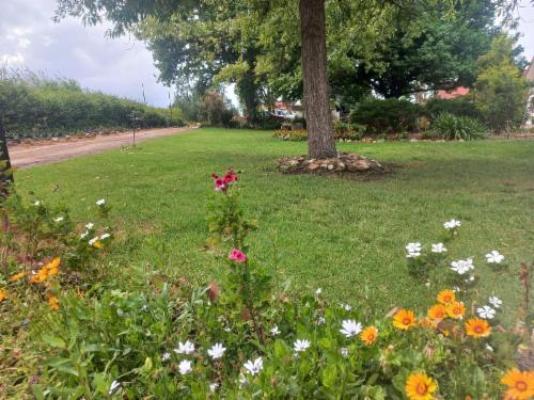 Merwenstein Guest Farm - Garden