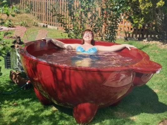 Merwenstein Guest Farm - Swimming pool