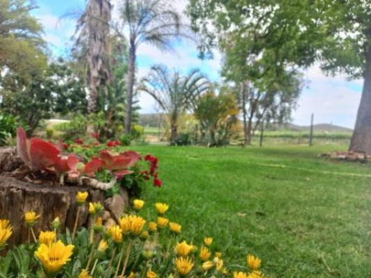 Merwenstein Guest Farm - Garden