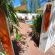 Merwenstein Guest Farm - 286836